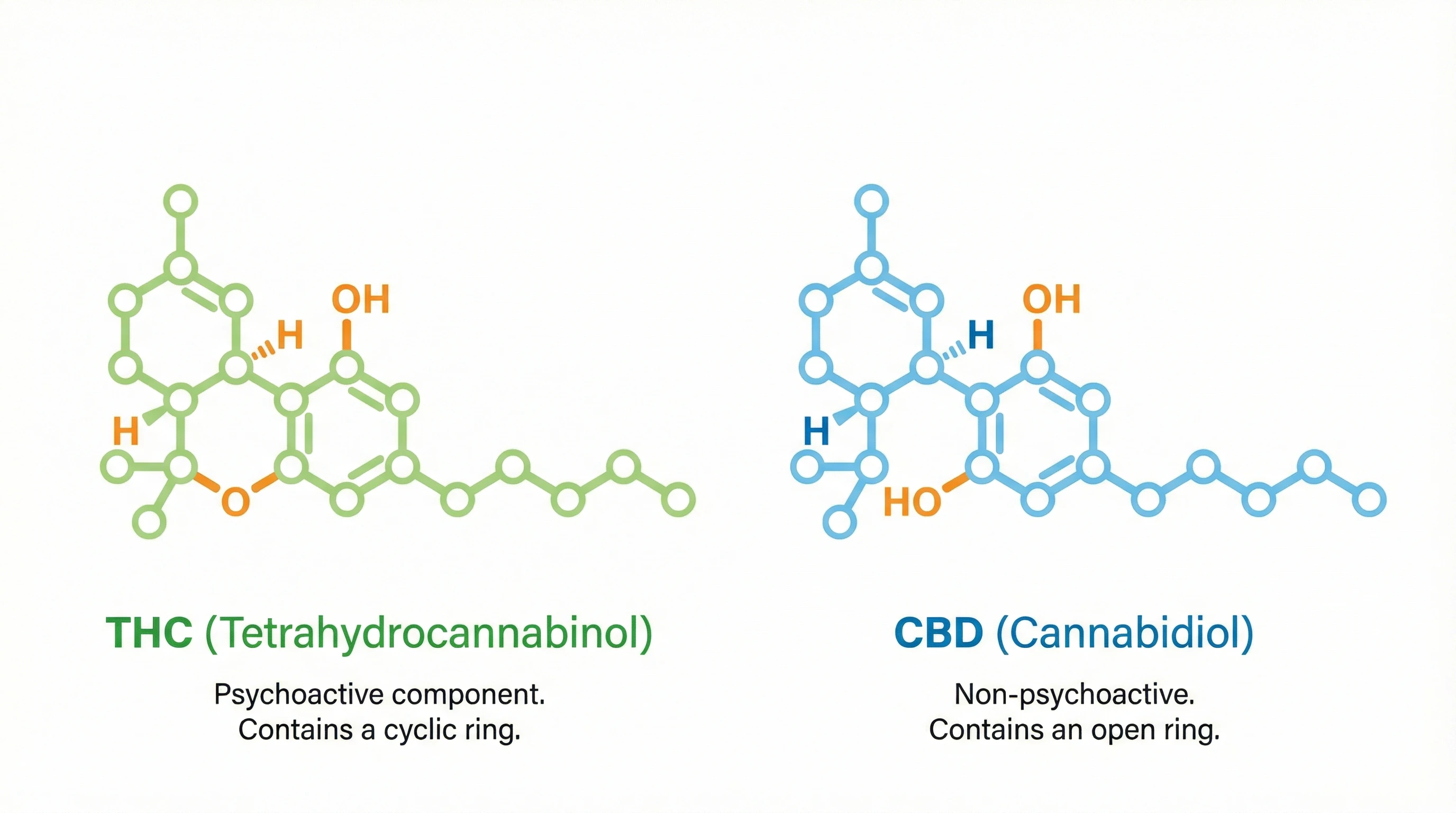 Side-by-side visualization of THC and CBD molecular structures.